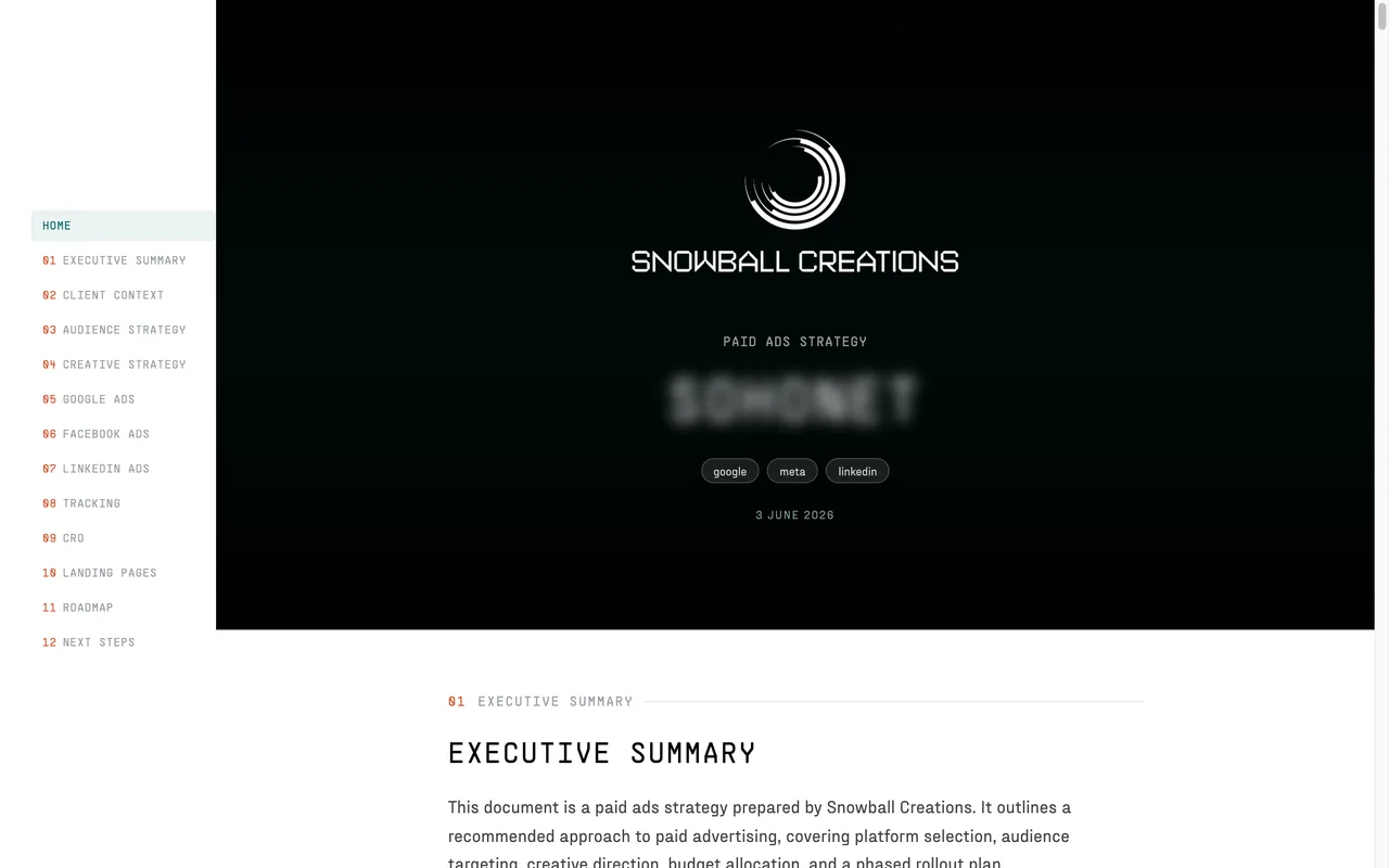 The cover of a paid ads strategy document with twelve sections from executive summary to next steps