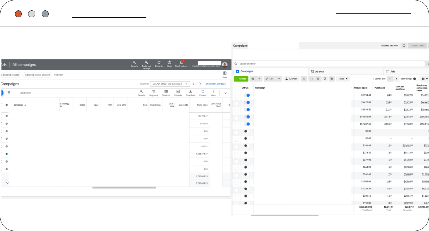 Paid ads case study